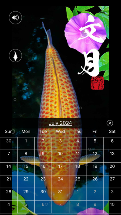 錦鯉四季暦　～にしきごいしきごよみ～ Screenshots