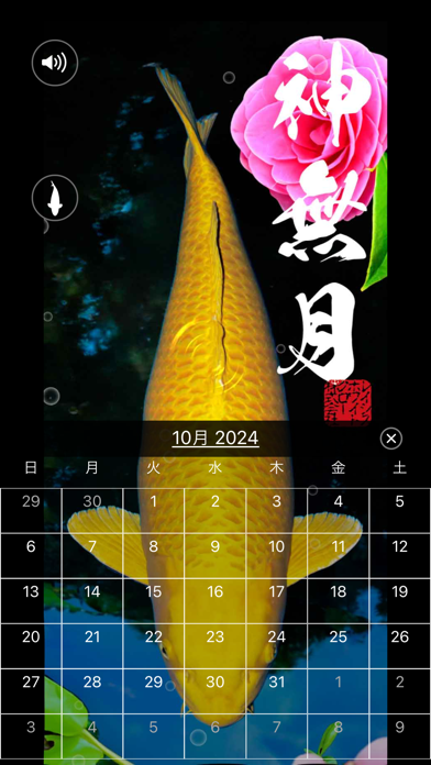 錦鯉四季暦　～にしきごいしきごよみ～ Screenshots