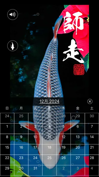 錦鯉四季暦　～にしきごいしきごよみ～ স্ক্রিনশট