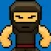 Ninja Dude