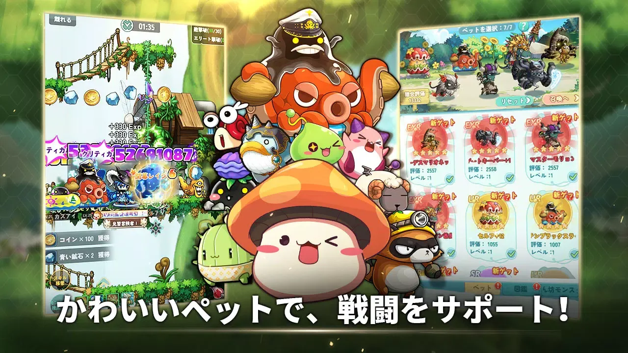 メイプルストーリーRエボリューション应用截图
