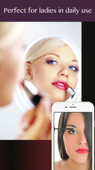 Screenshot di Mirror Magnify