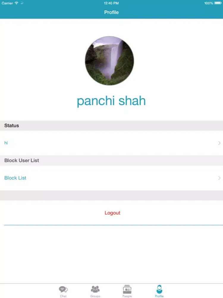 Capturas de pantalla de Pal Messenger iPad 