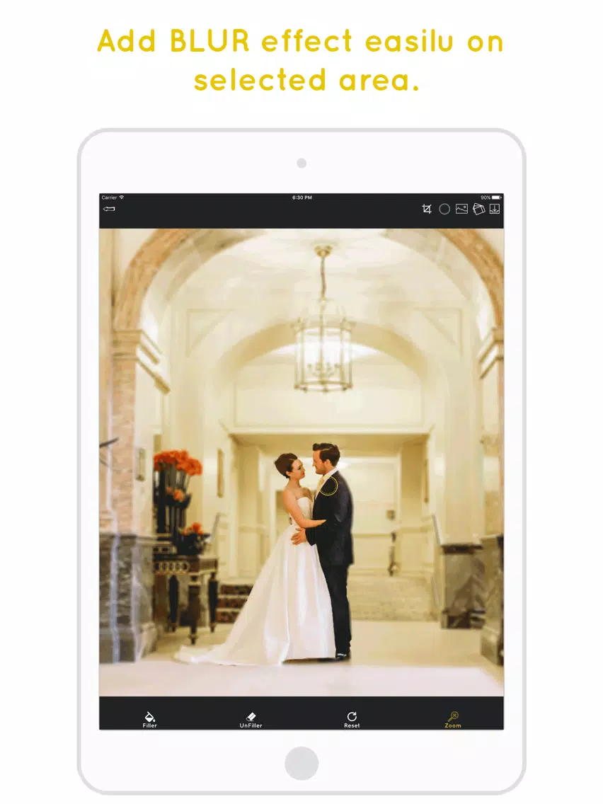 Скриншоты PicsTouch : Filter Photo by Touch iPad 