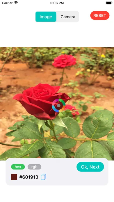 Colour Picker! سکرین شاٹس