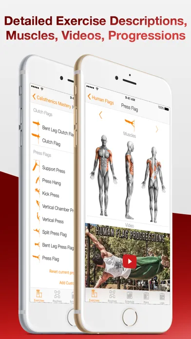 ภาพหน้าจอของ Calisthenics Mastery