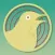 Mocking Birds