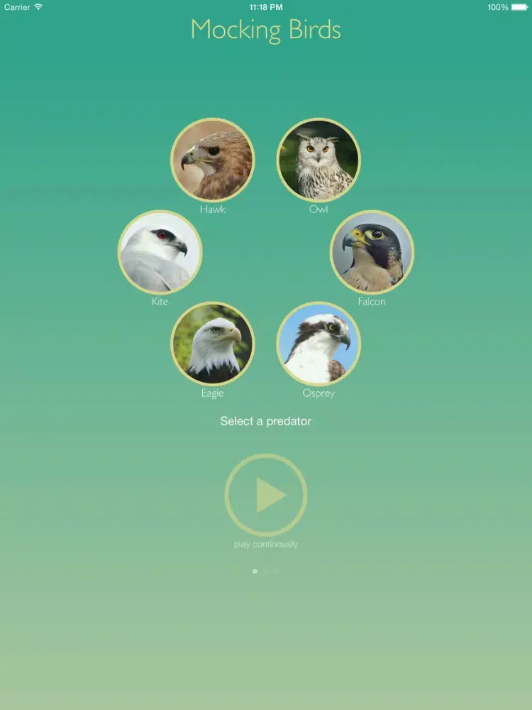 Mocking Birds iPad 应用截图
