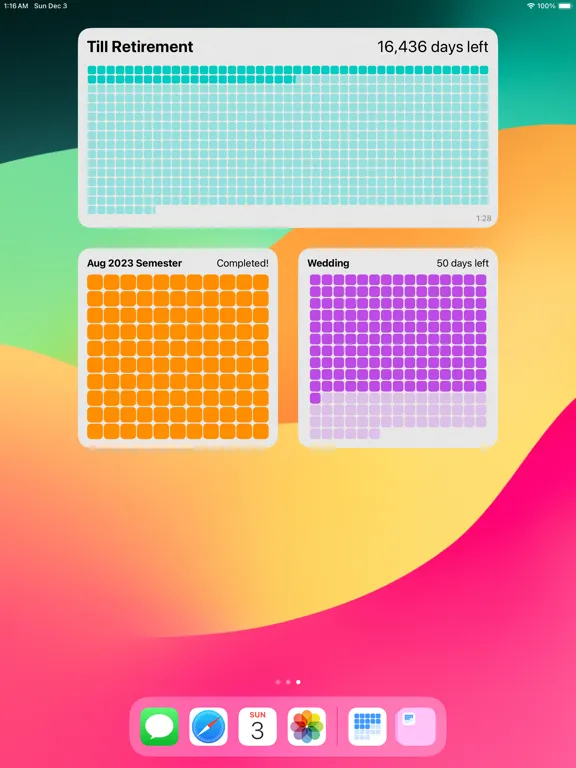 Скриншоты VizDayz iPad 