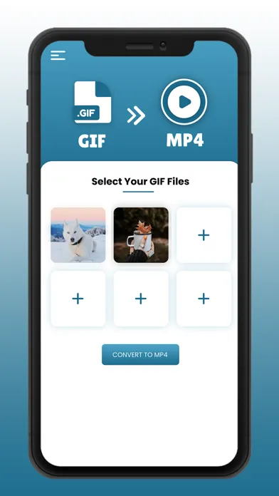 Zrzuty ekranu GIF to Mp4