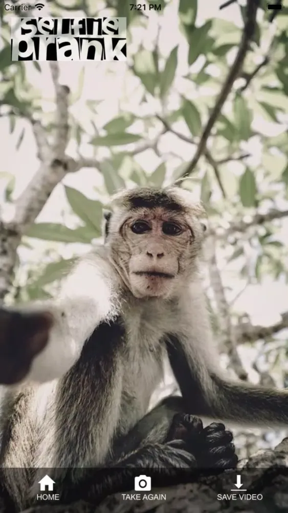 Captures d'écran de Selfie Prank