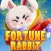 Fortune Rabbit-Lucky Jump