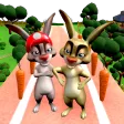 Cute Pet Bunny Running Games 2
