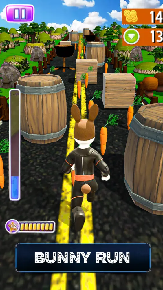 Cute Pet Bunny Running Games 2 Screenshots