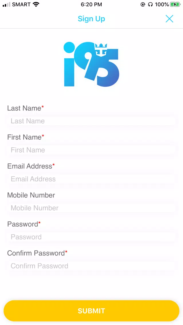 i95 Punch List Screenshots