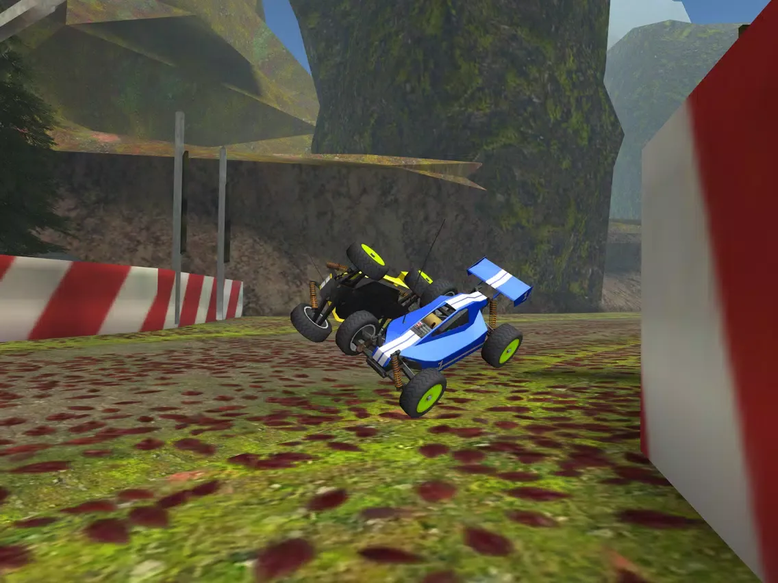 R/C Car Off-Road Racing- Radio Controlled Nitro Buggy Simulator Game PRO iPad 應用截圖