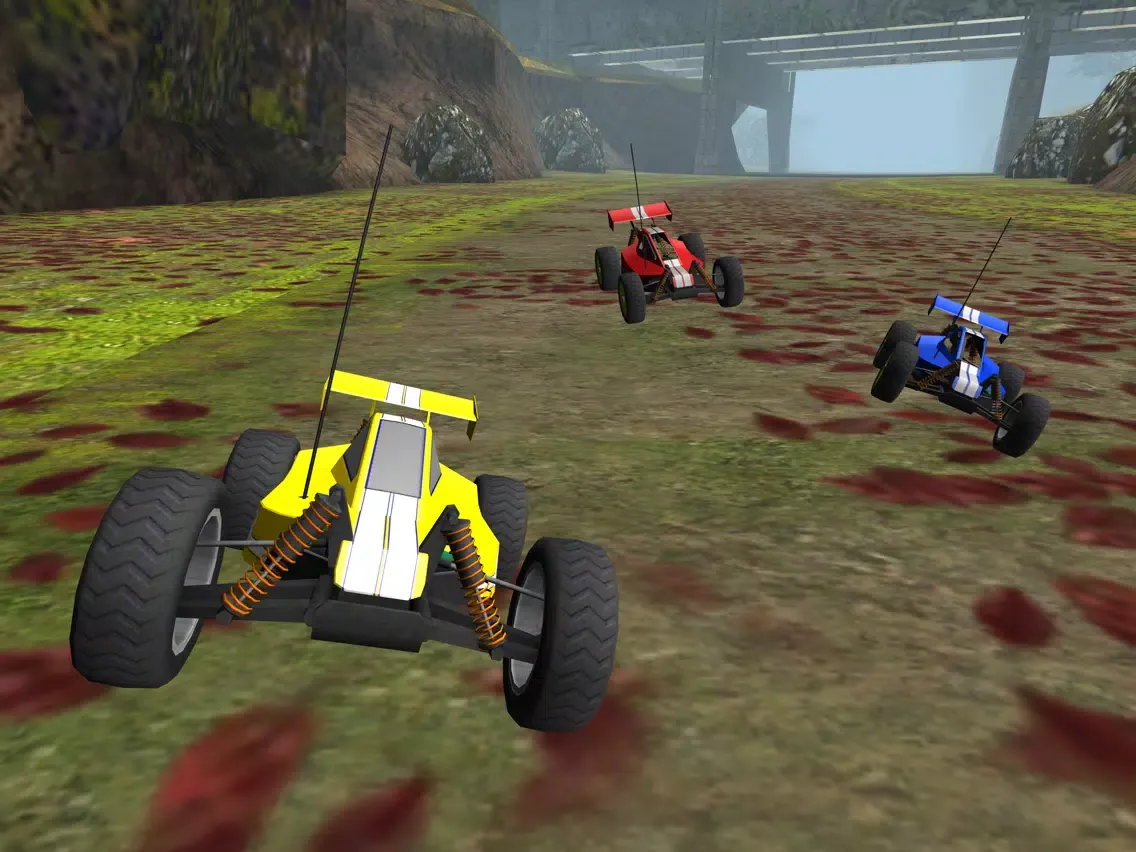 R/C Car Off-Road Racing- Radio Controlled Nitro Buggy Simulator Game PRO iPad 應用截圖