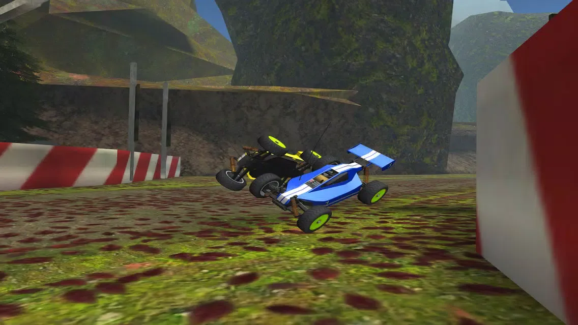 R/C Car Off-Road Racing- Radio Controlled Nitro Buggy Simulator Game PRO應用截圖