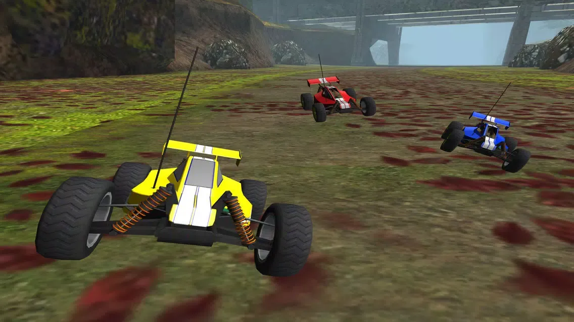 R/C Car Off-Road Racing- Radio Controlled Nitro Buggy Simulator Game PRO應用截圖