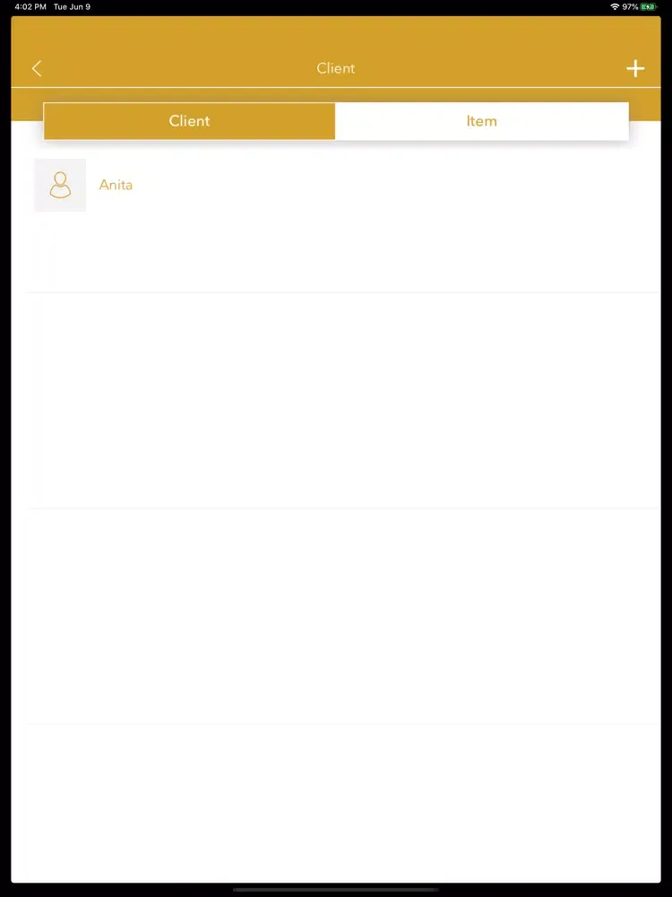 Invoice Pro : Receipt Expert iPad  Screenshots