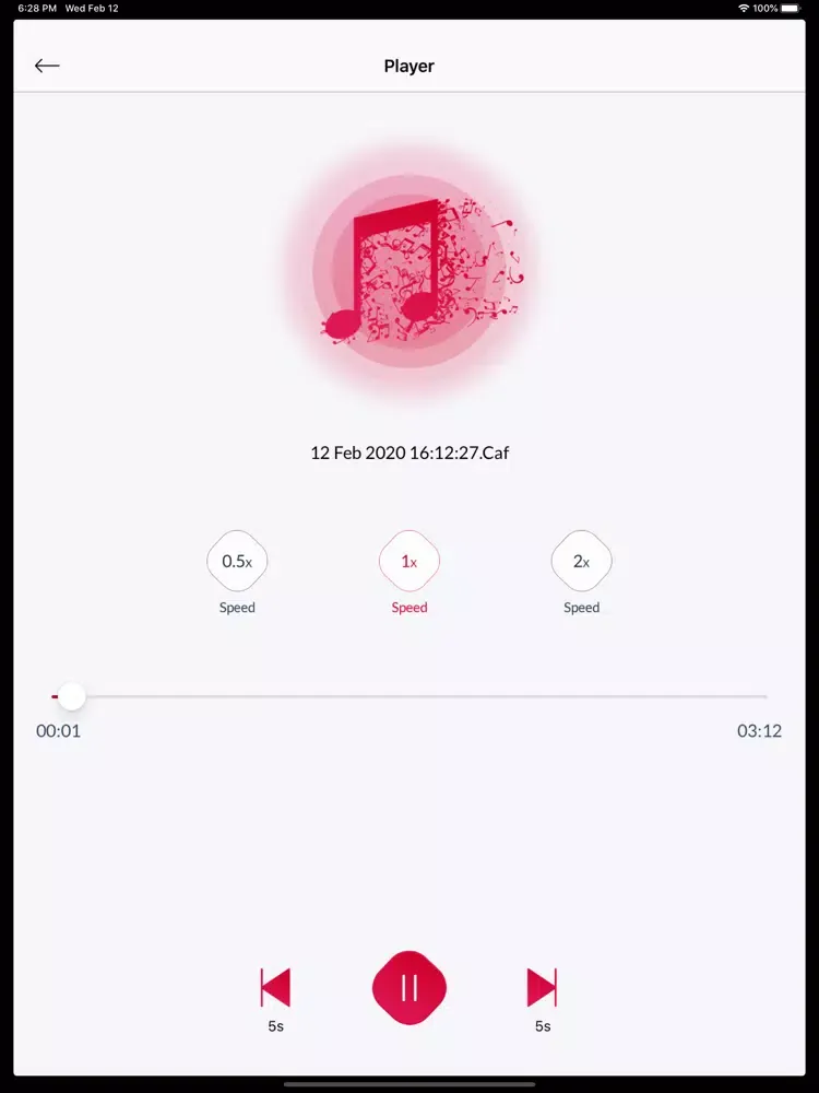 Voice Recorder : Playback Memo iPad  Ekran Görüntüleri