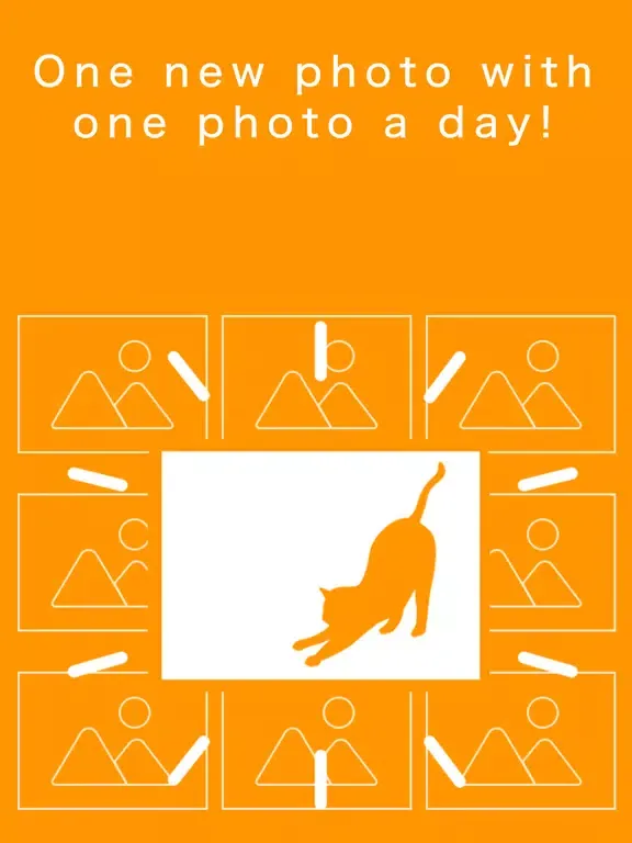 One Shutter iPad 应用截图