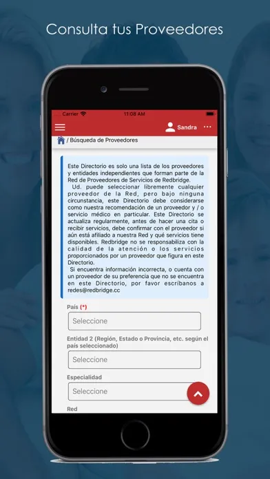 Tangkapan layar Redbridge