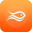 Small fish Reading-Record time Small fish Reading-Record time