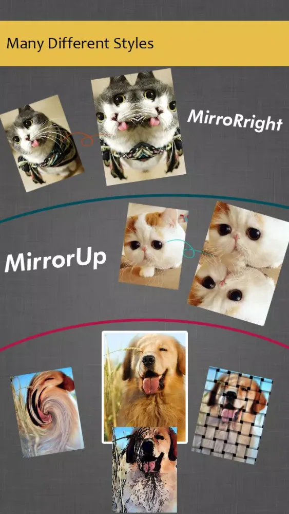 ภาพหน้าจอของ Pic-Artist Camera – Funny Photo and Video Booth FX + Camera Effects + Photo Editor for Instagram