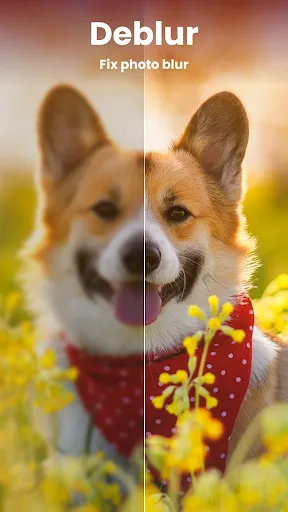 Enhance it - AI Photo Editor應用截圖
