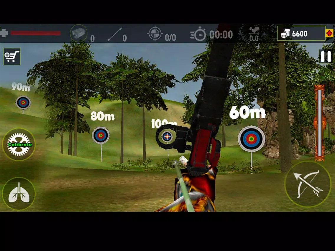 Captures d'écran de Real Archery King : Top Free Archery Shooting Game iPad 
