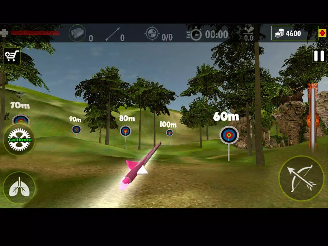 Captures d'écran de Real Archery King : Top Free Archery Shooting Game iPad 