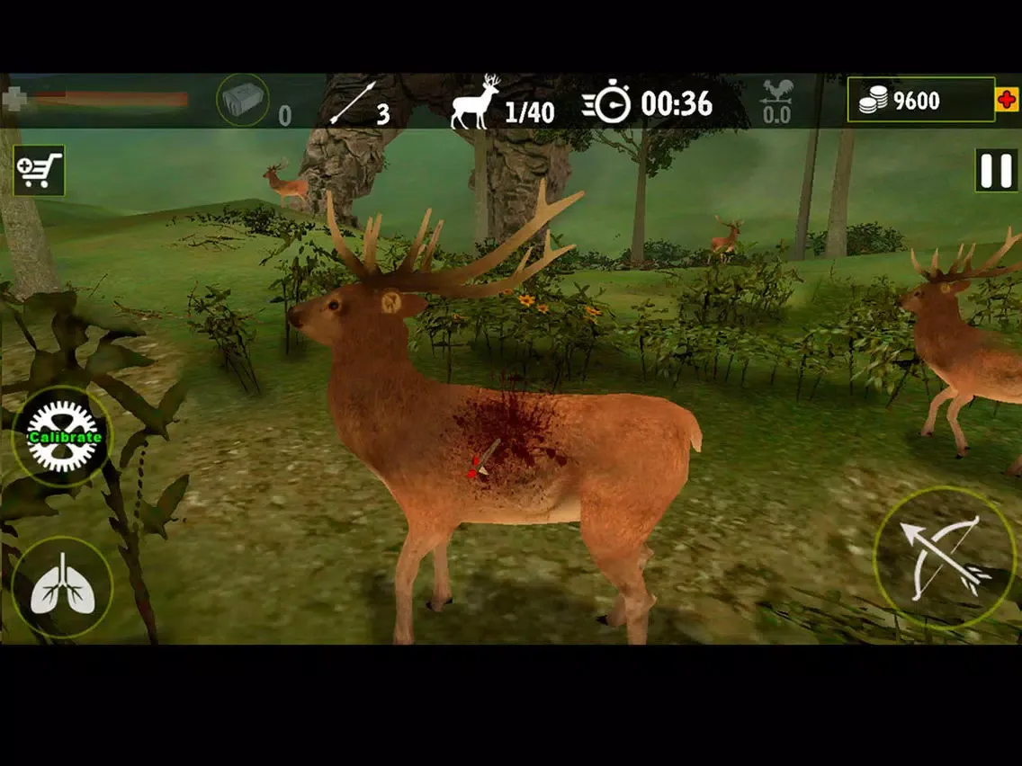 Captures d'écran de Real Archery King : Top Free Archery Shooting Game iPad 