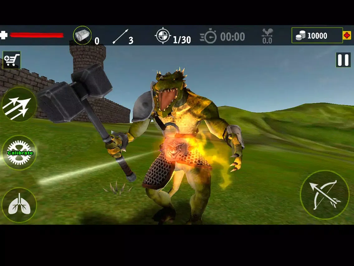Captures d'écran de Real Archery King : Top Free Archery Shooting Game iPad 
