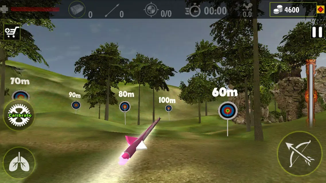 Captures d'écran de Real Archery King : Top Free Archery Shooting Game
