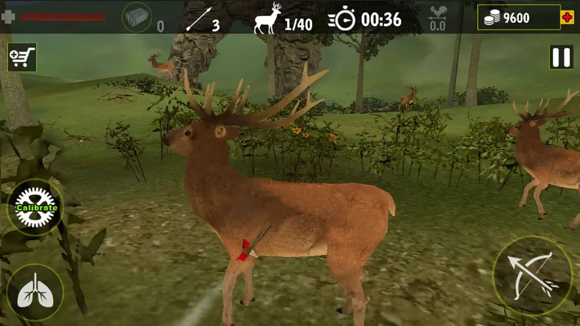 Captures d'écran de Real Archery King : Top Free Archery Shooting Game