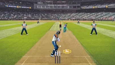 World Cricket Match Simulator Screenshots