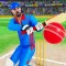 Real World Cricket League 2024