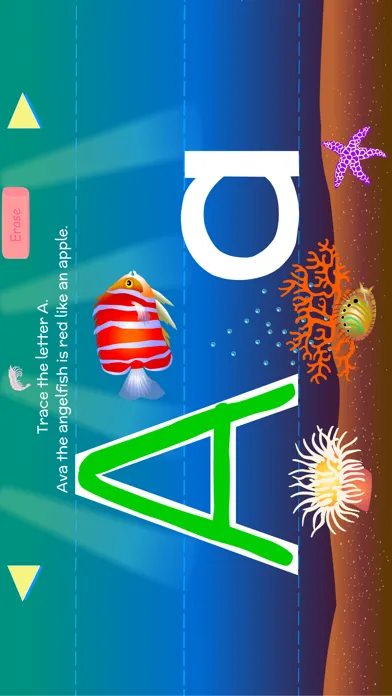 تصاویر Fish & Sea Creatures ABCs