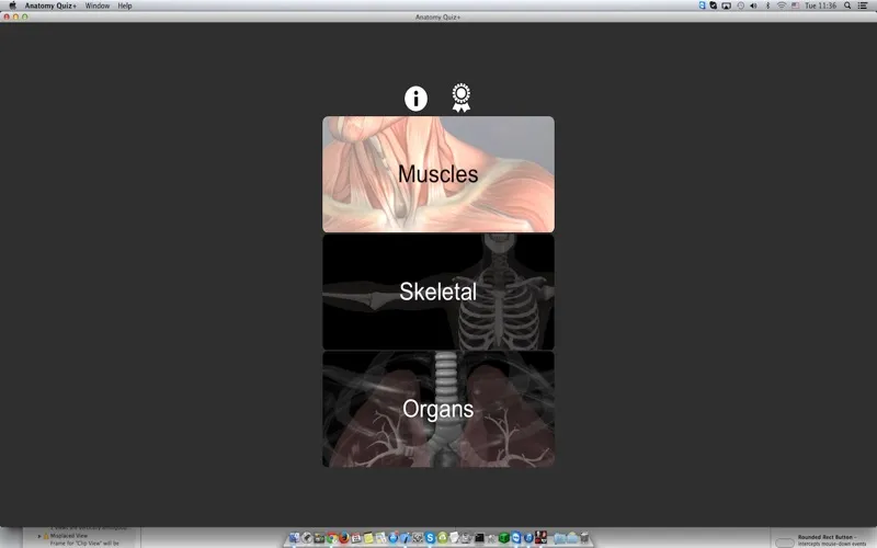 Tangkapan skrin Anatomy Quiz+