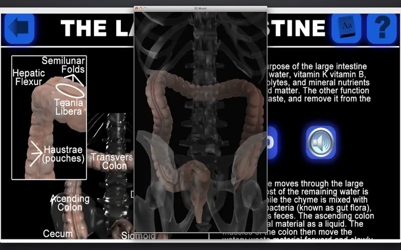 Capturas de pantalla de Anatomy 3D Organs