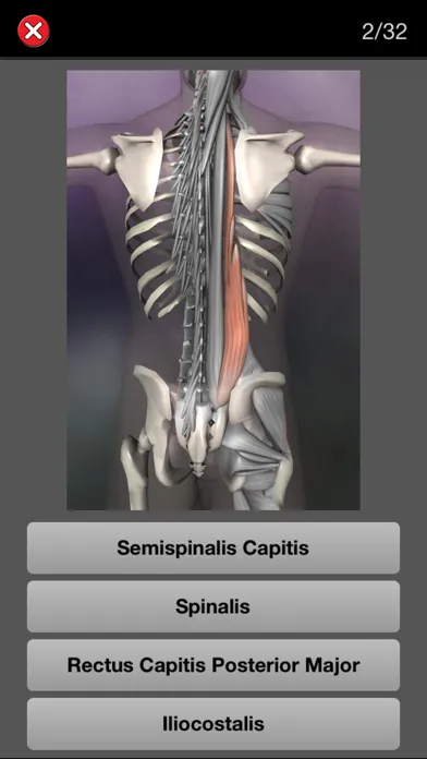 Скриншоты Anatomy Quiz Pro