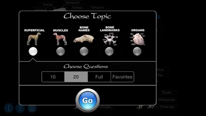 Dog Anatomy: Canine 3D Screenshots
