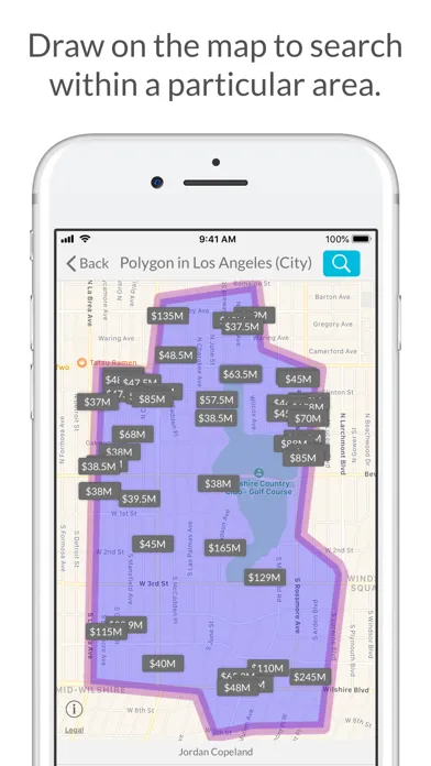 Captures d'écran de REW IDX Home Search