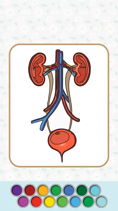 Anatomy Coloring Book. 스크린샷