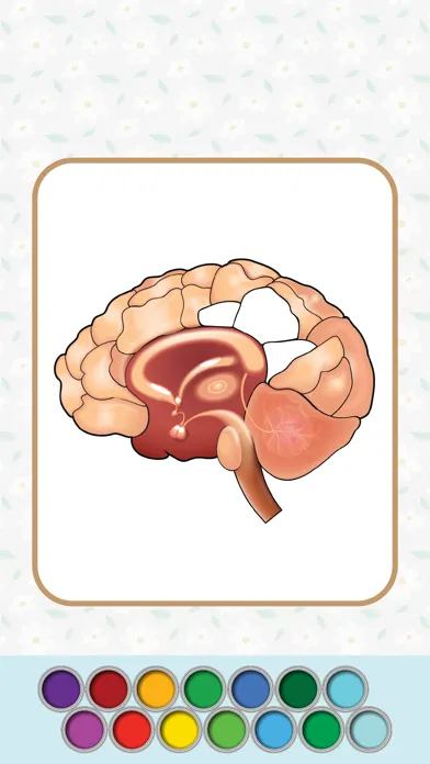 Anatomy Coloring Book. 스크린샷