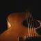 Acoustic Guitar Instrument