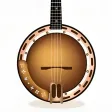 Banjo Instrument