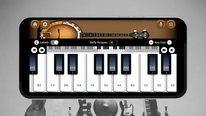 Banjo Instrument 스크린샷