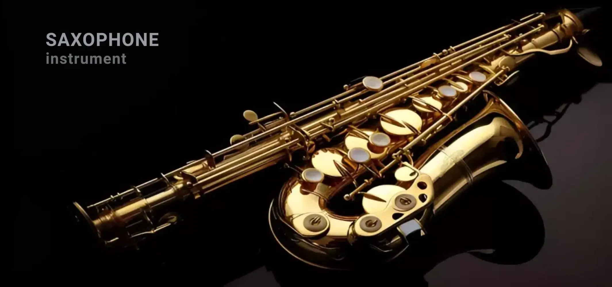 Capturas de pantalla de Saxophone Instrument